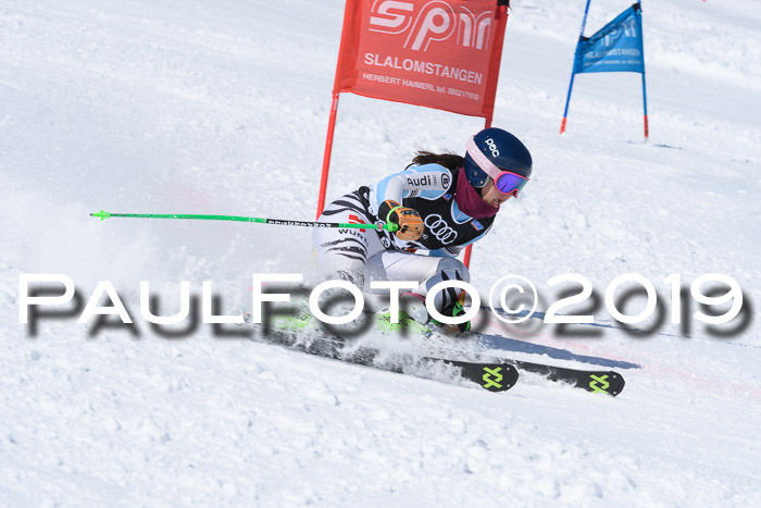 SVM Finale 15.04.2019 Teamwettbewerb