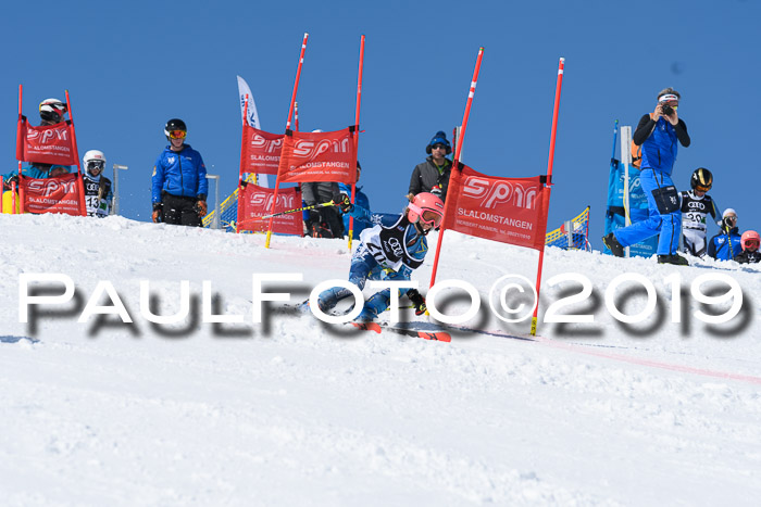SVM Finale 15.04.2019 Teamwettbewerb