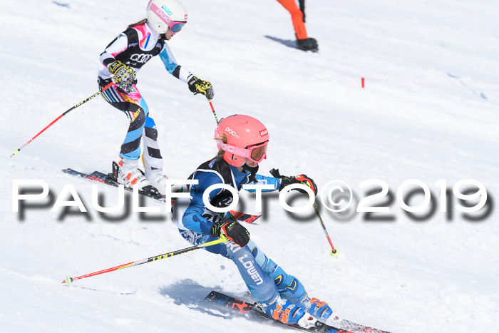 SVM Finale 15.04.2019 Teamwettbewerb