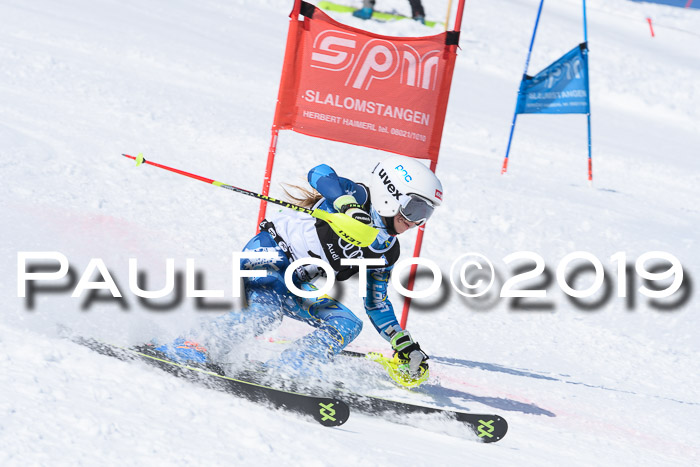 SVM Finale 15.04.2019 Teamwettbewerb