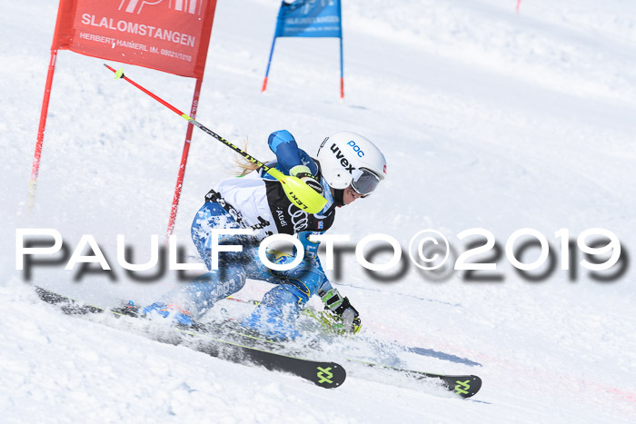 SVM Finale 15.04.2019 Teamwettbewerb