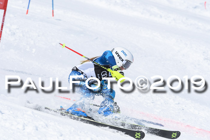SVM Finale 15.04.2019 Teamwettbewerb