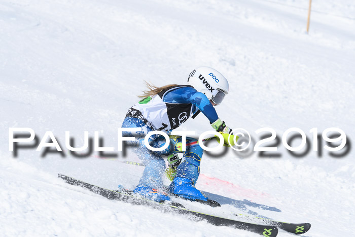 SVM Finale 15.04.2019 Teamwettbewerb