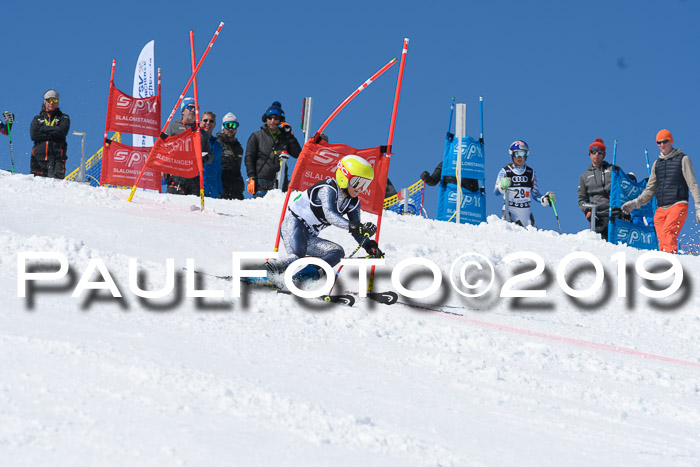 SVM Finale 15.04.2019 Teamwettbewerb