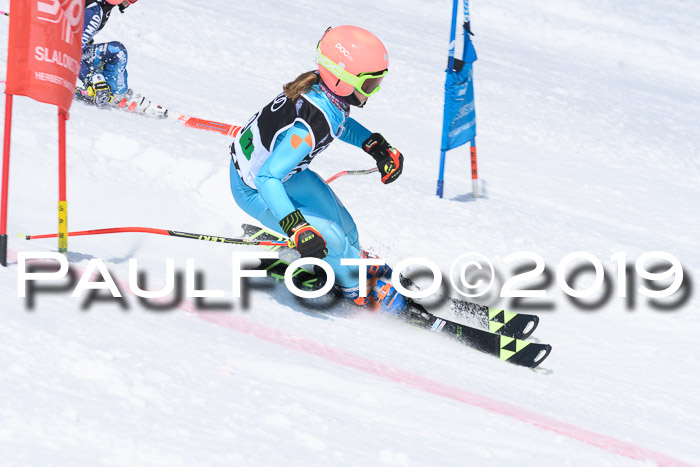 SVM Finale 15.04.2019 Teamwettbewerb