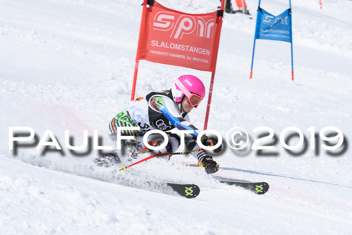 SVM Finale 15.04.2019 Teamwettbewerb