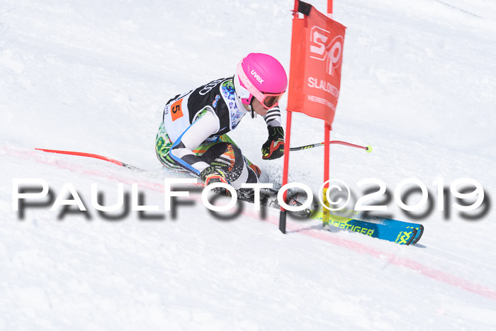 SVM Finale 15.04.2019 Teamwettbewerb