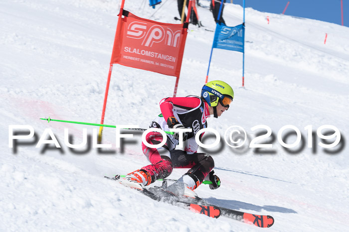 SVM Finale 15.04.2019 Teamwettbewerb