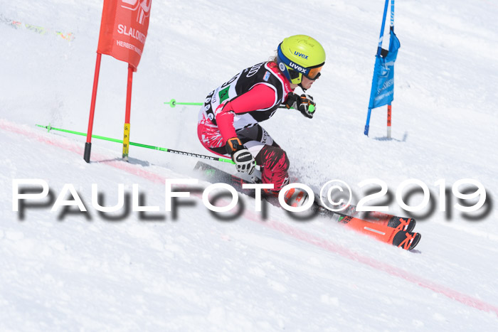 SVM Finale 15.04.2019 Teamwettbewerb