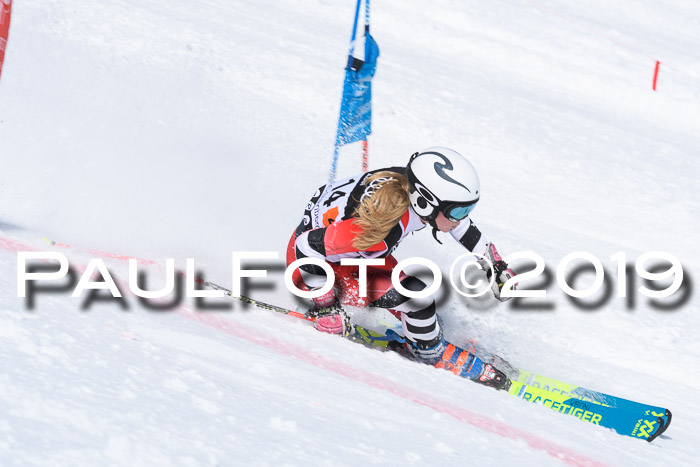 SVM Finale 15.04.2019 Teamwettbewerb