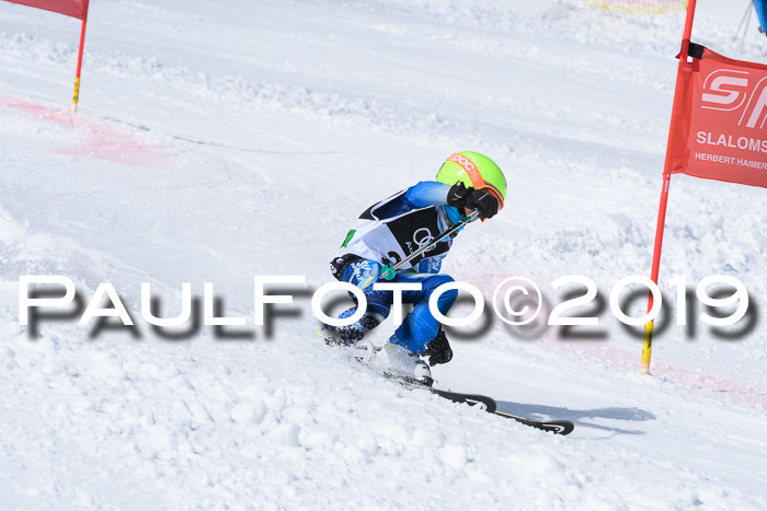 SVM Finale 15.04.2019 Teamwettbewerb