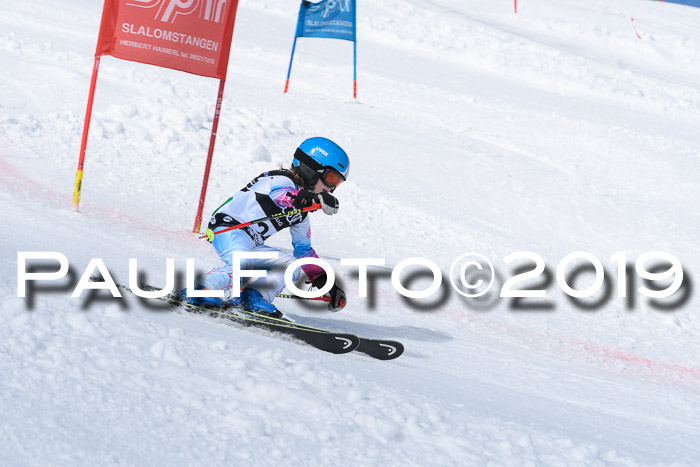 SVM Finale 15.04.2019 Teamwettbewerb