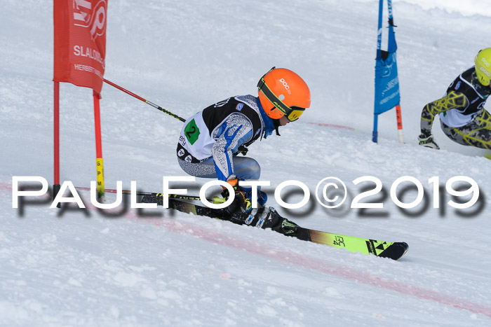 SVM Finale 15.04.2019 Teamwettbewerb