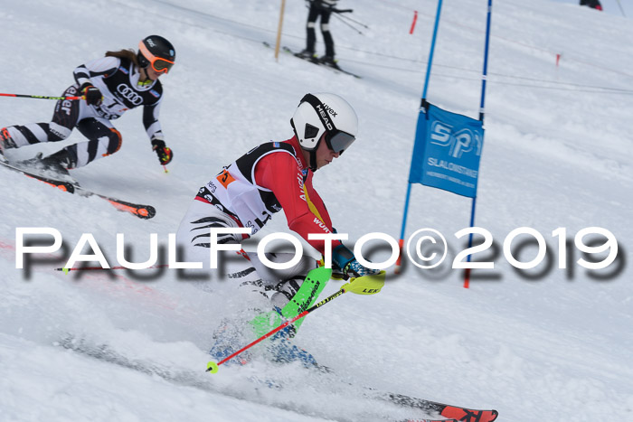 SVM Finale 15.04.2019 Teamwettbewerb