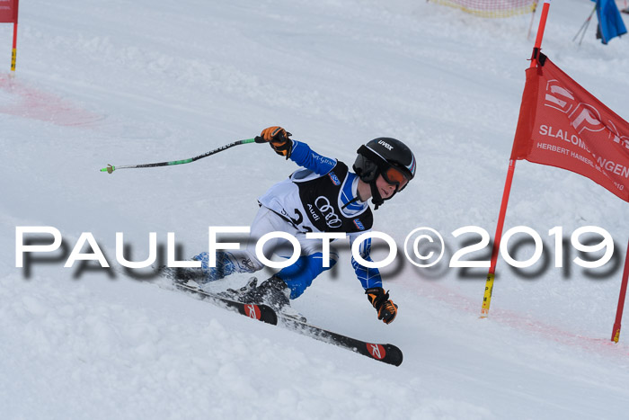 SVM Finale 15.04.2019 Teamwettbewerb