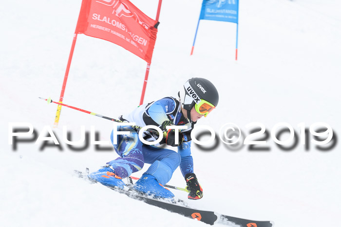 SVM Finale 15.04.2019 Teamwettbewerb