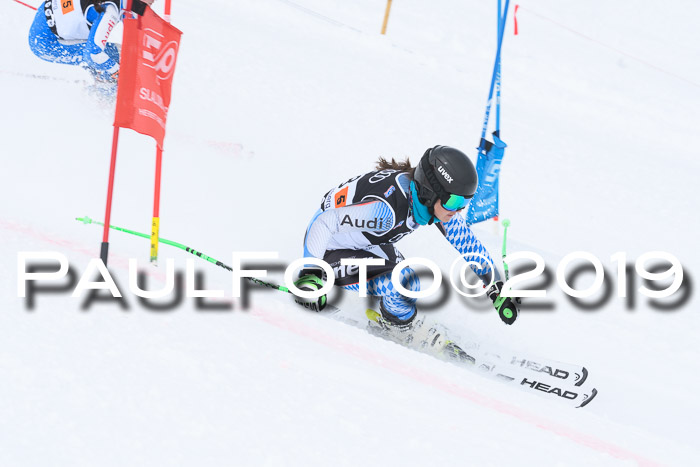 SVM Finale 15.04.2019 Teamwettbewerb