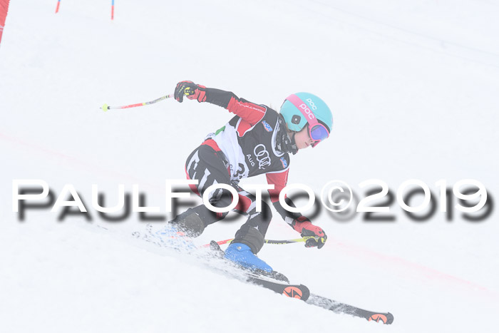 SVM Finale 15.04.2019 Teamwettbewerb