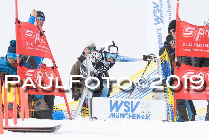 SVM Finale 15.04.2019 Teamwettbewerb
