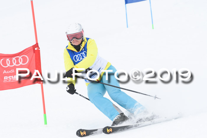 Ski Golf Masters 2019, Riesenslalom