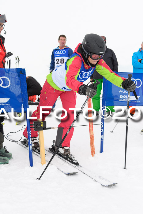 Ski Golf Masters 2019, Riesenslalom
