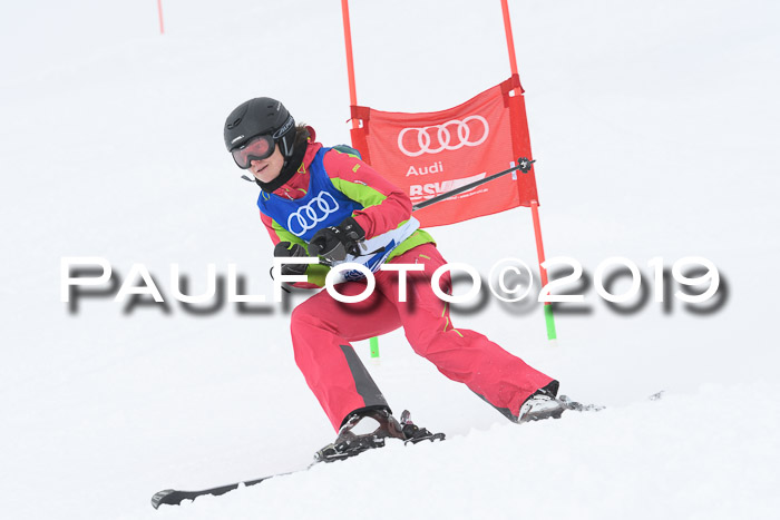 Ski Golf Masters 2019, Riesenslalom