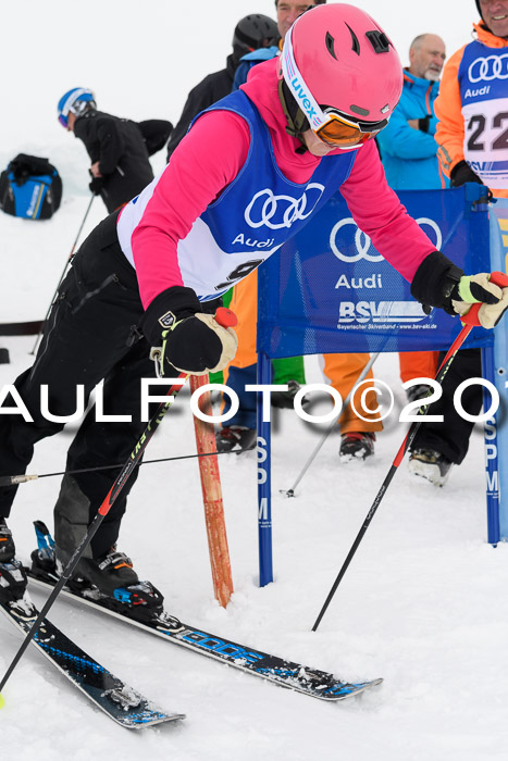 Ski Golf Masters 2019, Riesenslalom