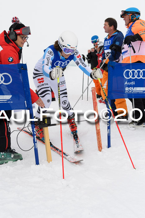 Ski Golf Masters 2019, Riesenslalom