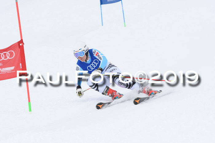 Ski Golf Masters 2019, Riesenslalom