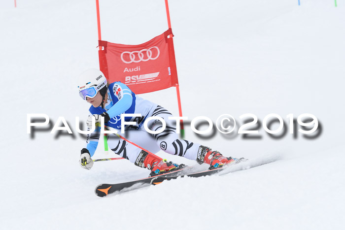 Ski Golf Masters 2019, Riesenslalom