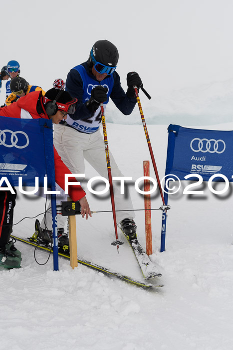 Ski Golf Masters 2019, Riesenslalom