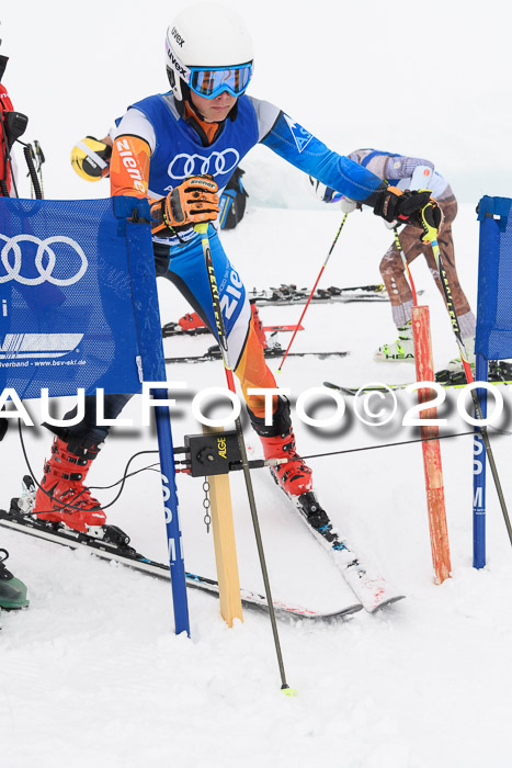 Ski Golf Masters 2019, Riesenslalom