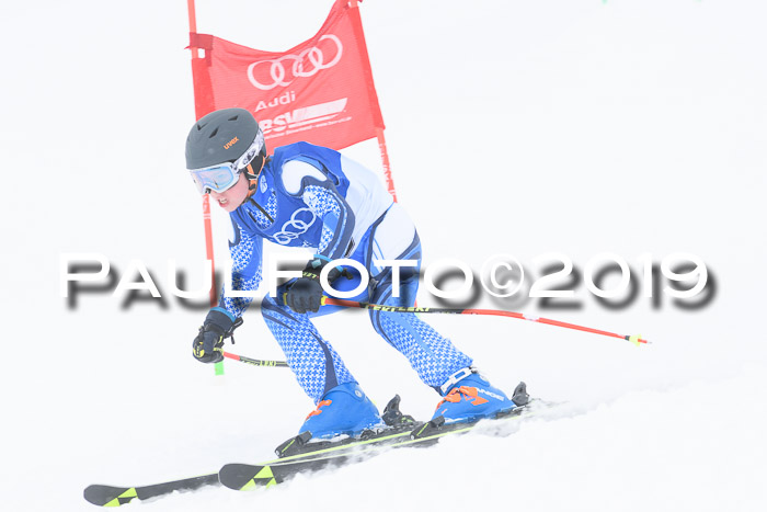 Ski Golf Masters 2019, Riesenslalom