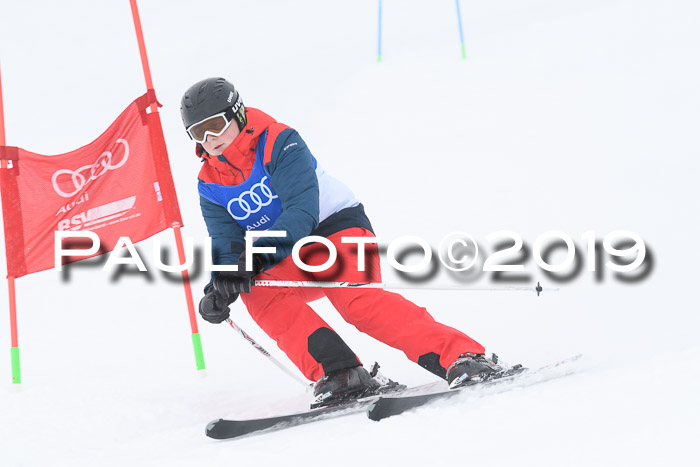 Ski Golf Masters 2019, Riesenslalom