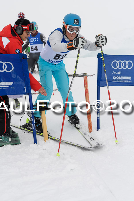 Ski Golf Masters 2019, Riesenslalom