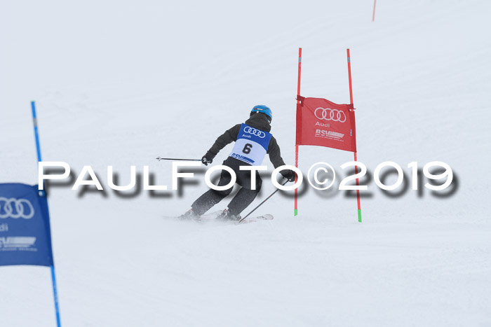 Ski Golf Masters 2019, Riesenslalom