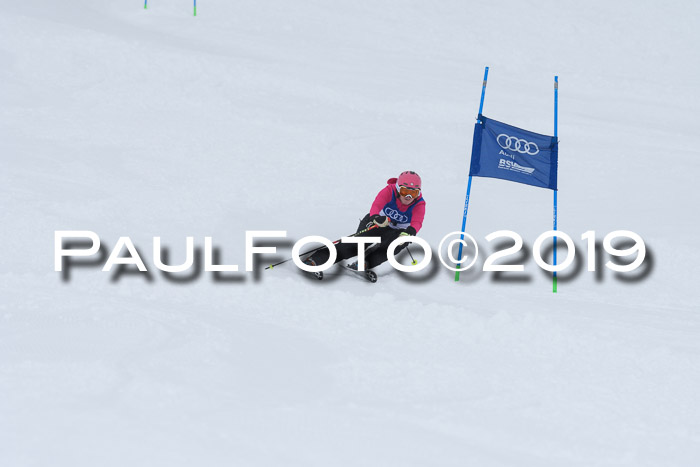 Ski Golf Masters 2019, Riesenslalom