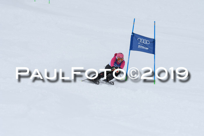 Ski Golf Masters 2019, Riesenslalom