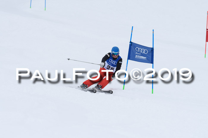 Ski Golf Masters 2019, Riesenslalom