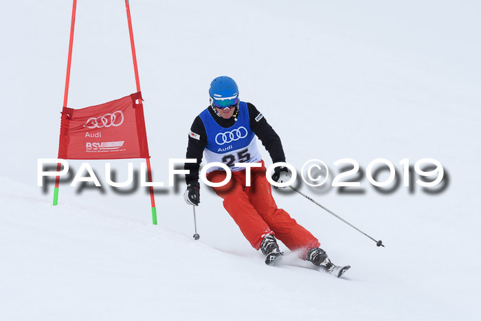 Ski Golf Masters 2019, Riesenslalom