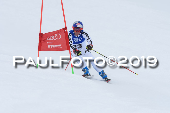 Ski Golf Masters 2019, Riesenslalom