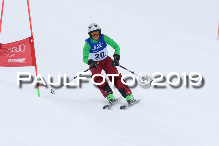 Ski Golf Masters 2019, Riesenslalom
