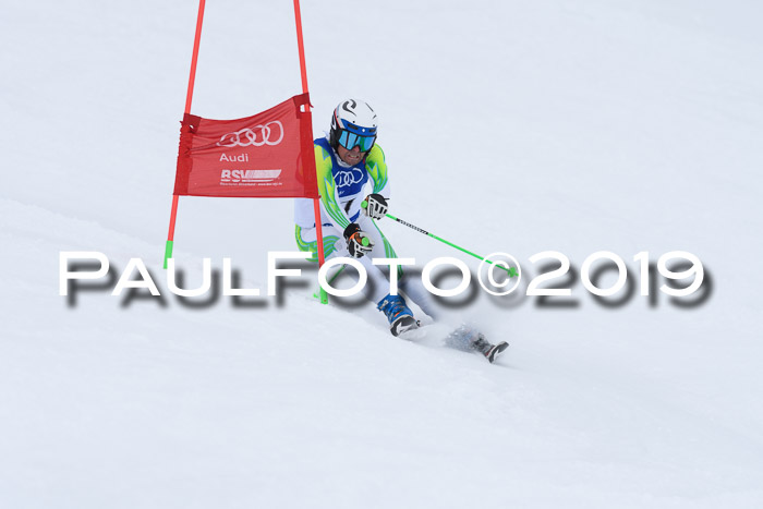 Ski Golf Masters 2019, Riesenslalom