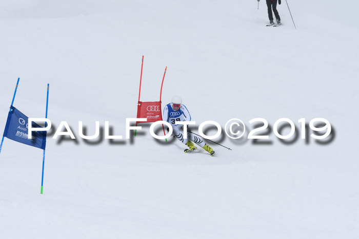 Ski Golf Masters 2019, Riesenslalom