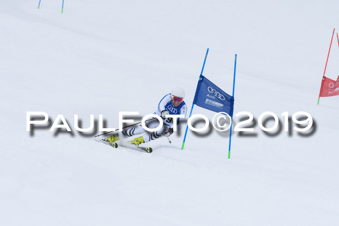 Ski Golf Masters 2019, Riesenslalom