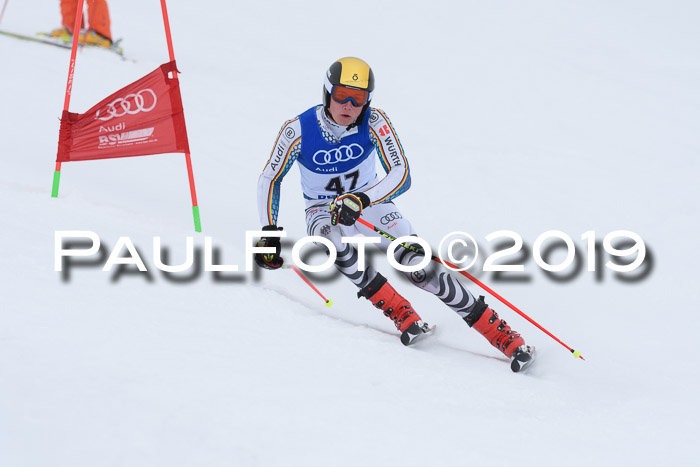 Ski Golf Masters 2019, Riesenslalom