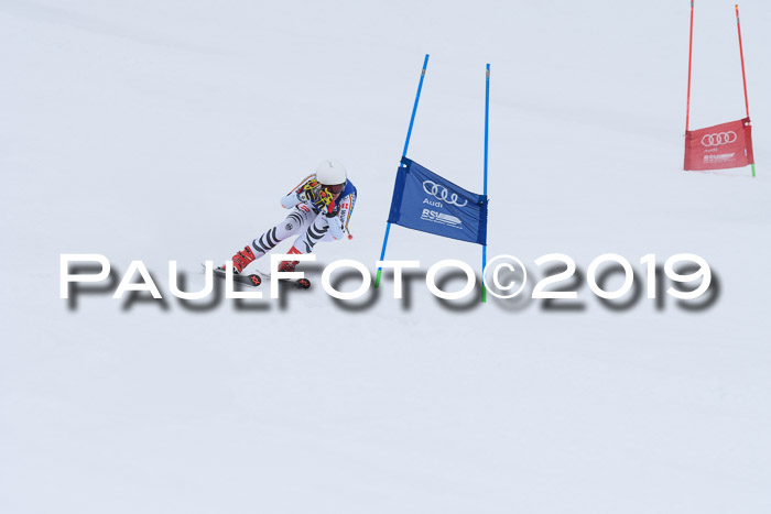 Ski Golf Masters 2019, Riesenslalom