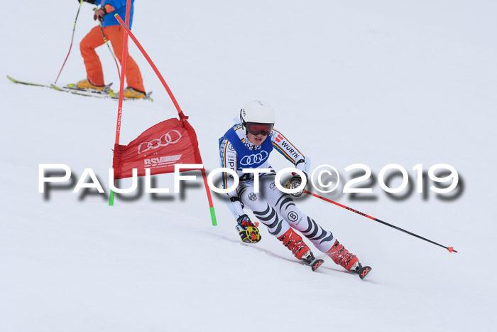 Ski Golf Masters 2019, Riesenslalom