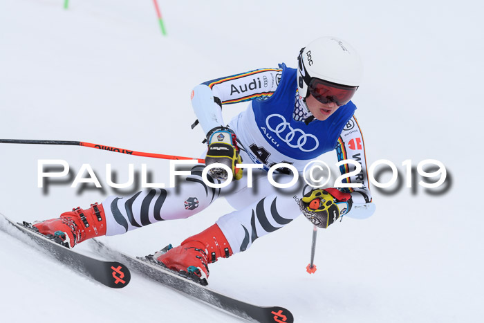 Ski Golf Masters 2019, Riesenslalom