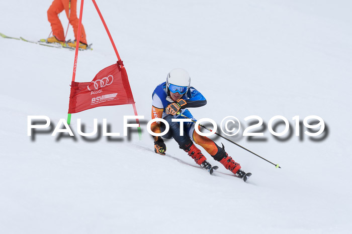 Ski Golf Masters 2019, Riesenslalom